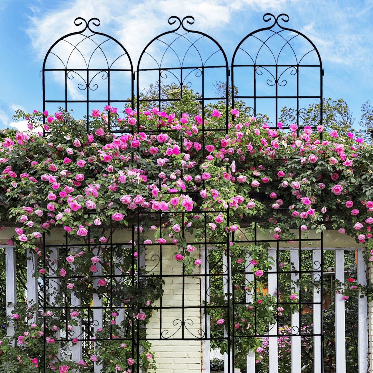 4 Pack Metal Garden Trellis 86.7" X 19.7" Rustproof Trellis For Climbing Plants Outdoor Flower Support Black_maomaolike.com