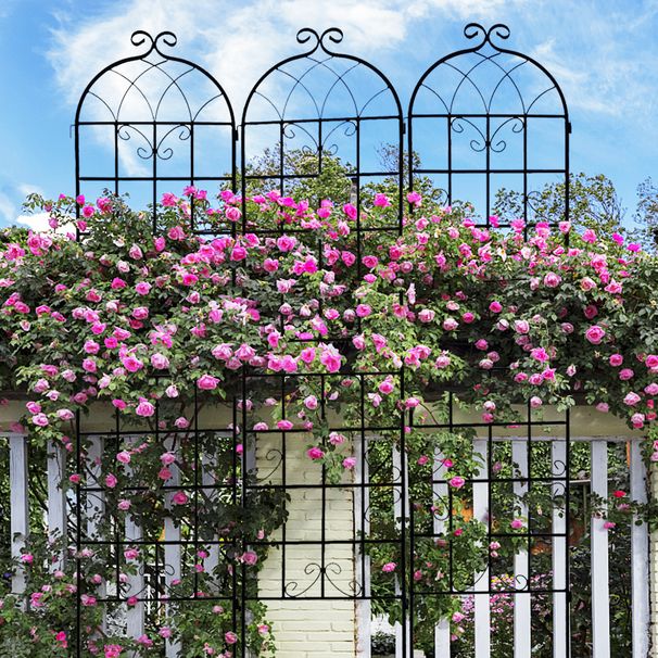4 Pack Metal Garden Trellis 86.7" X 19.7" Rustproof Trellis For Climbing Plants Outdoor Flower Support Black_maomaolike.com