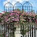 4 Pack Metal Garden Trellis 86.7" X 19.7" Rustproof Trellis For Climbing Plants Outdoor Flower Support Black_maomaolike.com
