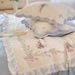 Winter French INS Princess Style Milk Velvet Four-Piece Set Thickened Warm Coral Fleece Girly Bed Sheet Duvet Cover_maomaolike.com