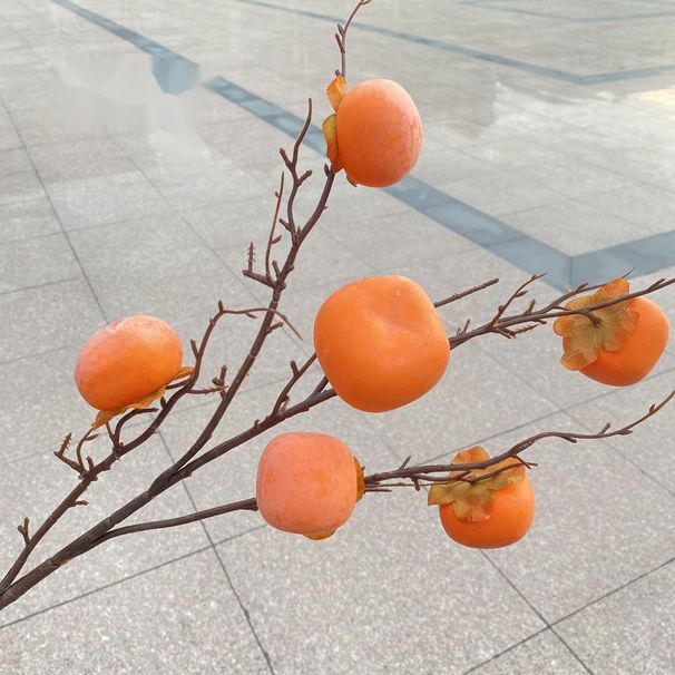 Artificial Berry Ruyi Home Decoration Ornament Plant Fake Persimmon Branch Foam Spray Painted Fruit Display_maomaolike.com