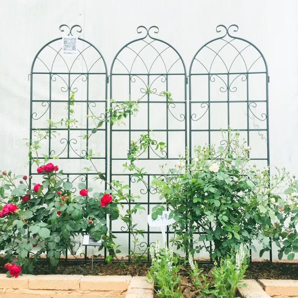 4 Pack Metal Garden Trellis 71" X 19.7" Rustproof Trellis For Climbing Plants Outdoor Flower Support Black_maomaolike.com
