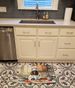 American Water Spaniel The Chef Memory Foam Kitchen Mat Machine Washable Anti-Fatigue Mat Cushion Comfort Bath Mat Or Kitchen Rug_maomaolike.com