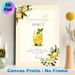 Limoncello Spritz Recipe Painting Poster, Delicate Watercolor-style Cocktail & Lemon Motif Poster, Practical Drink Recipe Display, Ideal For Home Bar_maomaolike.com