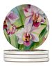 Orchids In Watercolor Large Sandstone Coasters Pack Of 4 Absorbent Round Coasters Decor Gifts For Men Or Women, 4 In, Multicolor_maomaolike.com