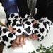 Unisex Thickened flannel half-finger gloves leopard print solid black gloves for men and women_maomaolike.com