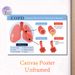 COPD Themed Medical Educational Painting Poster, Clear Informative Illustrative Medical Chart Poster, Visual Guide Explaining COPD Conditions_maomaolike.com