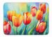 Tulips In Watercolor Memory Foam Kitchen Mat Machine Washable Anti-Fatigue Mat Cushion Comfort Bath Mat Or Kitchen Rug_maomaolike.com
