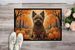 Cairn Terrier Fall Doormat Front Door Mat Indoor Outdoor Rugs For Entryway, Non Slip Washable Low Pile, 24H X 36W_maomaolike.com