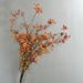 Mountain Return Vine Berry Wrapped Artificial Fruit Branch Floral Arrangement 13 Forks Nine Fruits_maomaolike.com
