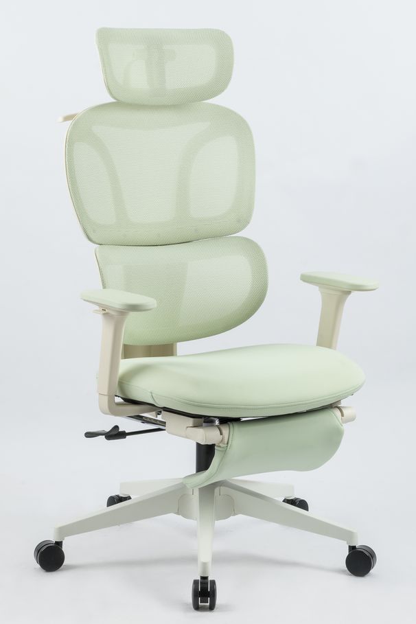 Ergonomic Office Chair With Footrest, High Back Computer Office Chair With Dynamic Lumbar Support, 2D Headrest, 2D Armrest, Sponge Seat, Mesh Home Office Desk Chair For Adults, GREEN_maomaolike.com