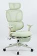 Ergonomic Office Chair With Footrest, High Back Computer Office Chair With Dynamic Lumbar Support, 2D Headrest, 2D Armrest, Sponge Seat, Mesh Home Office Desk Chair For Adults, GREEN_maomaolike.com
