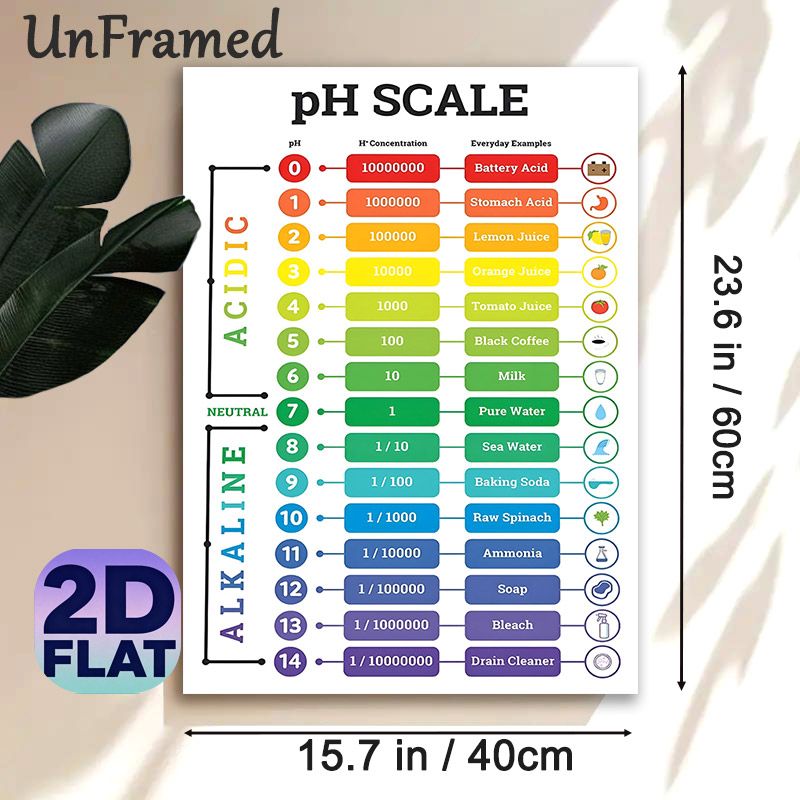 pH Scale Painting Poster, Vibrant Infographic Style Poster, Informative Guide Displaying Acidic & Alkaline Substances With PH Values, Suitable For_maomaolike.com