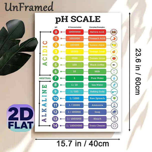 pH Scale Painting Poster, Vibrant Infographic Style Poster, Informative Guide Displaying Acidic & Alkaline Substances With PH Values, Suitable For_maomaolike.com