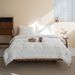Wholesale Soft Core Spring Autumn Non-Running Cotton Warm Winter Student Bedding Single And Double Four Seasons Skin-Friendly Quil_maomaolike.com