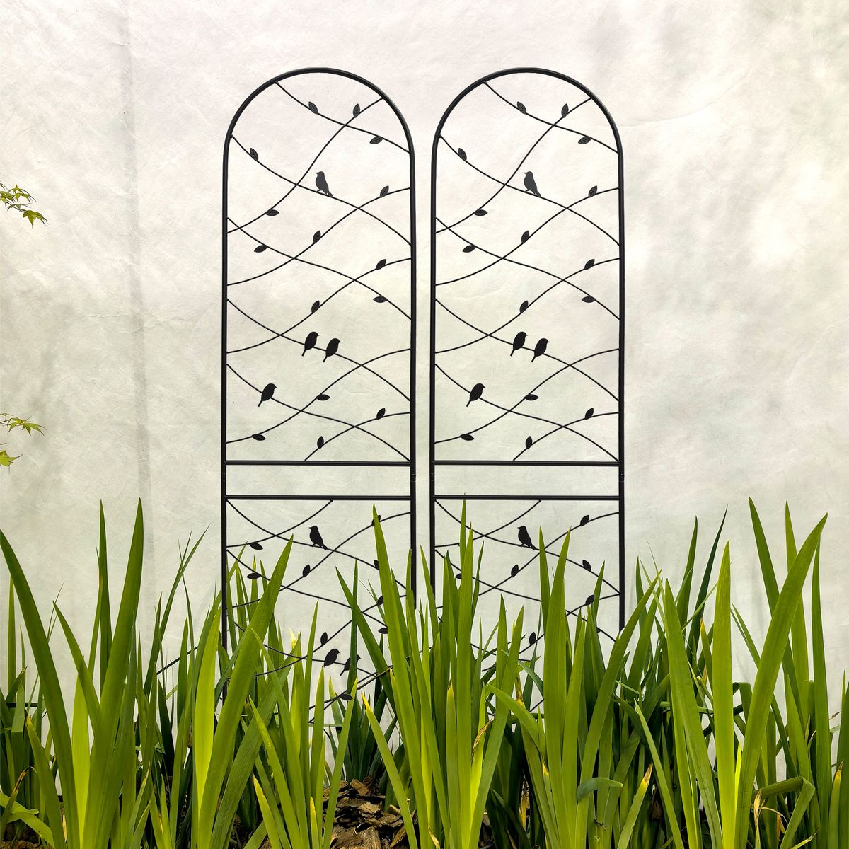 2 Pack Metal Garden Trellis 86.7" X 19.7" Rustproof Trellis For Climbing Plants Outdoor Flower Support Bird Deco Black_maomaolike.com