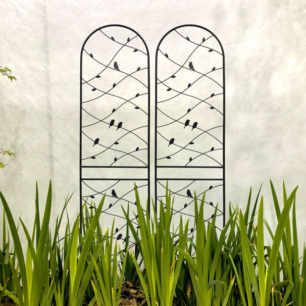 2 Pack Metal Garden Trellis 86.7" X 19.7" Rustproof Trellis For Climbing Plants Outdoor Flower Support Bird Deco Black_maomaolike.com