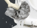 Household No Dead Angle Soft Bristle Long Handle Bathroom Wall-Mounted Toilet Cleaning Brush_maomaolike.com