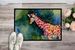 Giraffe Doormat Front Door Mat Indoor Outdoor Rugs For Entryway, Non Slip Washable Low Pile, 24H X 36W_maomaolike.com