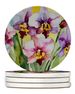 Orchids In Watercolor Large Sandstone Coasters Pack Of 4 Absorbent Round Coasters Decor Gifts For Men Or Women, 4 In, Multicolor_maomaolike.com
