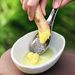 Stainless Steel Garlic Ginger Fruits Root Vegetable Grater Grinder Spoon For Kitchen_maomaolike.com