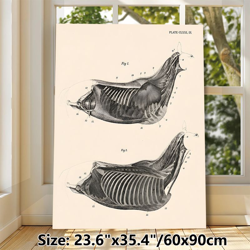 Equine Thoracic Anatomy Painting Poster, Vintage Monochrome Labeled Equine Chest Muscle & Skeletal Illustration Poster, Informative Medical Artwork_maomaolike.com