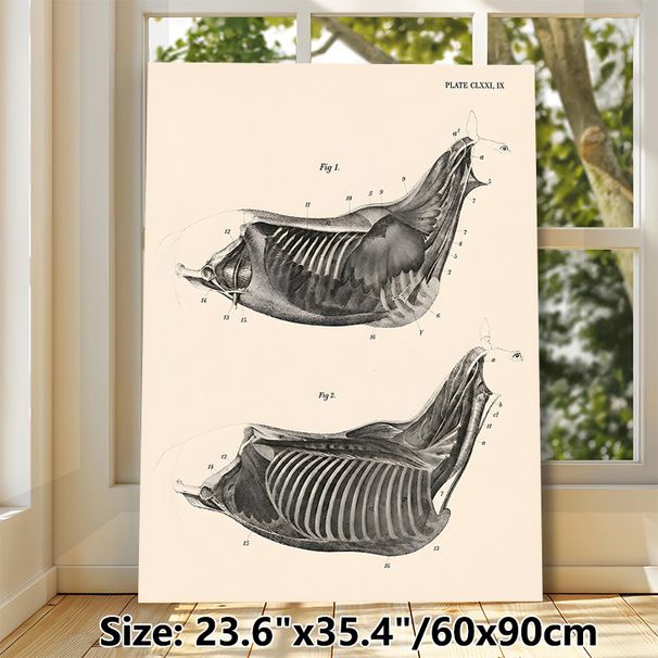 Equine Thoracic Anatomy Painting Poster, Vintage Monochrome Labeled Equine Chest Muscle & Skeletal Illustration Poster, Informative Medical Artwork_maomaolike.com