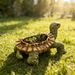 Resin Turtle Flowerpot Ornament, Home Garden Succulent Plant Decoration, Animal-shaped Simulation Craft_maomaolike.com