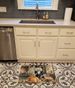 Poodle Fall Kitchen Pumpkins Memory Foam Kitchen Mat Machine Washable Anti-Fatigue Mat Cushion Comfort Bath Mat Or Kitchen Rug_maomaolike.com