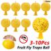 3-10Pcs Traps Ball Sticky Glue Indoor Outdoor Fruit Fly Catcher Insects Hoverfly Gnat Pest Repeller_maomaolike.com