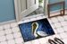 Fierce Pelican Doormat Front Door Mat Indoor Outdoor Rugs For Entryway, Non Slip Washable Low Pile, 24H X 36W_maomaolike.com