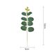 Wedding Artificial Flower Arrangement With Money Eucalyptus Leaf Single Stem Green Plant Bouquet For Wedding Ceremony_maomaolike.com