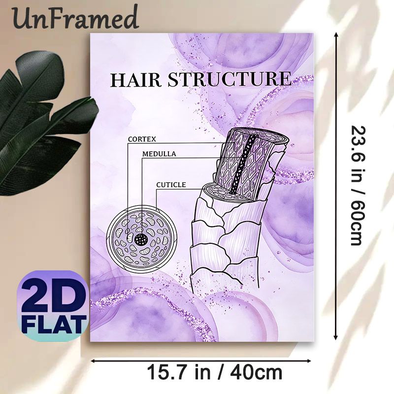 Hair Structure Painting Poster, Soft Lavender Watercolor Anatomical Chart Poster, Educational Hair Anatomy Display Suitable For Beauty Salons And_maomaolike.com