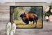 American Bison Doormat Front Door Mat Indoor Outdoor Rugs For Entryway, Non Slip Washable Low Pile, 24H X 36W_maomaolike.com