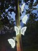 LED Dynamic Automatic Shaking Outdoor Waterproof Landscape Night Tour Electric Simulation Acrylic Butterfly Light_maomaolike.com