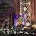 Welsh Terrier King Of Mardi Gras Throw Pillow Machine Washable, Indoor Outdoor Decorative Pillow For Couch, Bed Or Patio, 18Hx18W_maomaolike.com