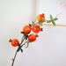 Pomegranate Fortune Home Decoration Fruit Branch Fake Artificial Flower Ornament Bulk Wholesale_maomaolike.com