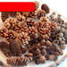 Decoration Pine Cone Acorn Flower Handmade DIY Forest Kindergarten Environmental Creation Dried Branches Wild Creative_maomaolike.com