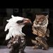 Nordic Creative Animal Resin Crafts Lion Ornament Office Home Living Room Entrance Wine Cabinet Decoration_maomaolike.com