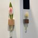 Ready Stock Wooden Test Tube Hydroponic Propagation Vase, Magnet Fridge Mini Planter Kitchen Locker Home Decor Ornament
_maomaolike.com
