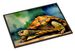 Turtles Tortoises Doormat Front Door Mat Indoor Outdoor Rugs For Entryway, Non Slip Washable Low Pile, 24H X 36W_maomaolike.com