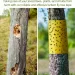 5/10M Yellow Double-sided Proof Tape Outdoor Insect Trap Garden Pest Control Prevent Aphids Ants Moths Climbing_maomaolike.com