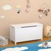 Kids Wooden Toy Box Storage With Safety Hinged Lid For Ages 2+ (White)_maomaolike.com