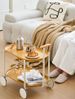JYCC-YEL Movable Small Pushcart Small Cart Double Layered Coffee Table Leisure Modern Living Room_maomaolike.com