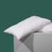 Manufacturer Wholesale Hotel Cotton Neck Support Sleep Aid Comfortable Rebound Home Textile Pillow Core_maomaolike.com