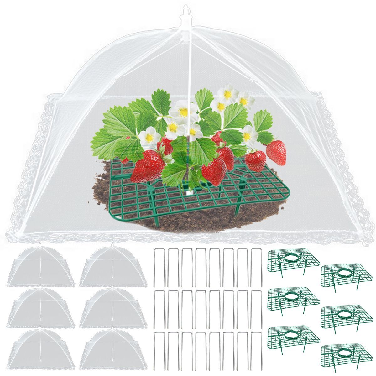 6 Sets Strawberry Supports With 24 Ground Nails Square Strawberry Growing Support Stakes Reusable Cloche Dome For Outdoor Garden Vegetable_maomaolike.com