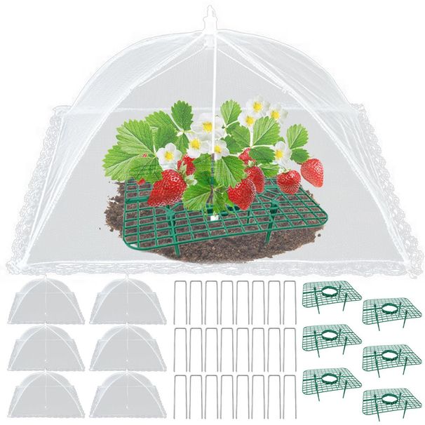 6 Sets Strawberry Supports With 24 Ground Nails Square Strawberry Growing Support Stakes Reusable Cloche Dome For Outdoor Garden Vegetable_maomaolike.com