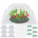 6 Sets Strawberry Supports With 24 Ground Nails Square Strawberry Growing Support Stakes Reusable Cloche Dome For Outdoor Garden Vegetable_maomaolike.com