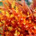 9pcs Simulation Flowers, Artificial Plastic Flowers, Fake Flowers, Holiday Garden Home Decoration Ornaments_maomaolike.com