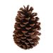 Decoration Pine Cone Acorn Flower Handmade DIY Forest Kindergarten Environmental Creation Dried Branches Wild Creative_maomaolike.com